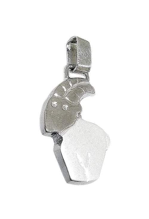 COLGANTE PLATA HORóSCOPO CAPRICORNIO 200_1500010