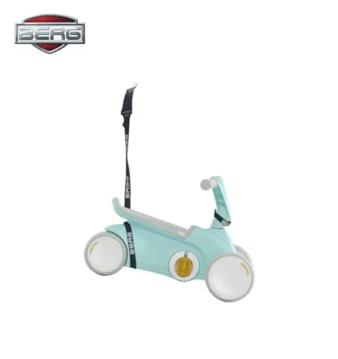 CORREA DE TRANSPORTE PARA BERG GO2